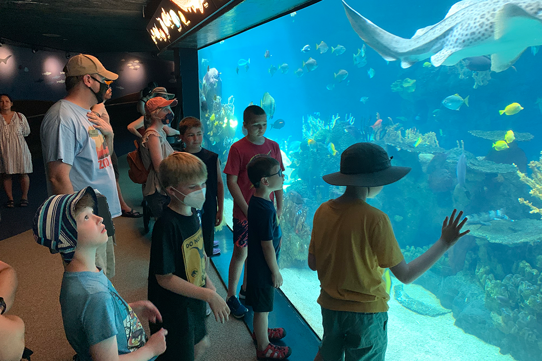 A group of kids stand in front of an aquarium tank
